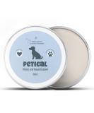 Petical paws and nose balm for dogs I naturally nourishing balm for healthy paws & nose paw care dog paws balm Paw claner ointment cream - Buy Online on SooperMarket.com