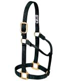 WEAVER Leather Non-adjustable Halter Black Large Horse - Buy Online on SooperMarket.com