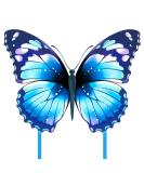 Mint's Colorful Life Butterfly Kite - Easy-to-Fly Large Single Line Kite for Kids & Adults | Perfect for Beach Fun | 300 FT String & Kite Handle Included (Blue) - Buy Online on SooperMarket.com