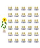 Eggone Flower Frog Mini Kenzan 23mm - 30 Pack - Buy Online on SooperMarket.com