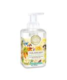 Michel Design Works Birds & Butterflies Foaming Hand Soap - Luxurious and Fragrant - Buy Online on SooperMarket.com