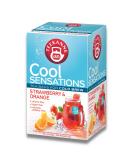 Teekanne Strawberry & Orange Cold Brew TeaInfusion Ice Cool Sensations All Natural Real Fruit with Hibiscus Rosehip Apple 18 Teabags - Buy Online on SooperMarket.com