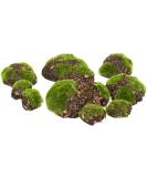 12Pcs Artificial Rock Moss Balls - Garden Decor & Floral Arrangements DIY - Buy Online on SooperMarket.com