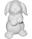 Paint Your Own Ceramic Rabbit Keepsake - Adorable DIY Bunny Craft Kit - Buy Online on SooperMarket.com