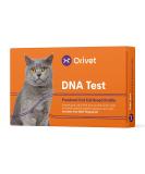 ORIVET Cat Breed DNA Test - 1 Pack | Comprehensive Genetic Health Screening & LifePlan | At Home Cheek Swab | Accurate & Fast Results - Buy Online on SooperMarket.com