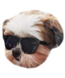 80s Style Pet Sunglasses for Small Dogs (Black) - Up to 15lbs - Buy Online on SooperMarket.com