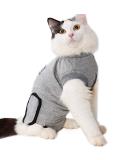 BT Bear Pet Surgery Recovery Suits Cats Clothes Abdominal Wounds Skin Diseases E-Collar Alternative Cotton Cat Shirt for Cats Puppy Small Dogs (XXS-Back length 25cm) XXS--Back length 25cm Chest--27cm - Buy Online on SooperMarket.com