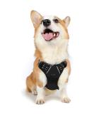 rabbitgoo no-pull dog harness for medium-sized dog puppy harness adjustable soft dishes safe control chest harness padded black m (1 Pack) black - Buy Online on SooperMarket.com