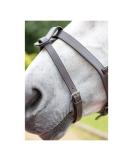 Shires Velociti GARA Flash Strap Havana Cob - Buy Online on SooperMarket.com