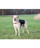 Trixie 28833 Black Backpack L - 29 x 15 cm | Durable & Stylish Travel Companion for Pets - Buy Online on SooperMarket.com
