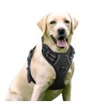 rabbitgoo Dog Harness, No-Pull Pet Harness with 2 Leash Clips, Adjustable Soft Padded Dog Vest, Reflective Outdoor Pet Oxford Vest with Easy Control Handle Large Classic Black - Buy Online on SooperMarket.com