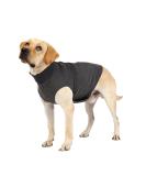 Felenny Dog Anxiety Vest Breathable Soft Clothes Wrap Shirt Relief Calming Coat for Small Medium Large Dogs XXL - Buy Online on SooperMarket.com