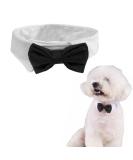 Buy SUNTRADE Adjustable Formal Pet Bow Tie for Dogs & Cats - Wedding Costume (Small Black) - International Shipping Available - Buy Online on SooperMarket.com