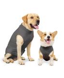 Heywean Dog Recovery Suit - Post-Op Castration Wound Protection for Dogs - Medical Shirt & Surgical Body Suit - XL Gray - Professional Pet Recovery Solution - Buy Online on SooperMarket.com