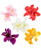 ANRONCH 5 Colors Artificial Flower Hair Clip  Bohemian Flower Hairpin Hawaiian Hibiscus Plumeria Hairpin for Seaside Holiday  Bridal Hair Accessories Bobby Pins Headwear for Woman Girl Lady Kids 5pcs - Buy Online on SooperMarket.com