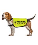 Training dog jacket vest in training Ignore dog vest dog walking slogan warning vest (in training ignorating large) Ignore in training - large - Buy Online on SooperMarket.com