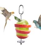 QBLEEV Stainless Steel Bird Food Holder - Parrot Fruit & Vegetable Stick Foraging Toy & Treat Skewer - Buy Online on SooperMarket.com