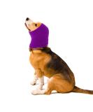 CoBee Soothing earmiths for dogs ear protectors for dogs noise protection pet ear flap Head wrap ears hooded sweater for noise suppression for care bathing (L violet) l Violet - Buy Online on SooperMarket.com