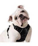 Eagloo dog harness Large dogs anti -train dog harness with reflex strips and control adjustable and adjustable dish Dog large chest harness for labrador black m m (1 Pack) black - Buy Online on SooperMarket.com