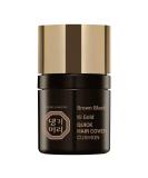 Daeng Gi Meo Ri Ki Gold Quick Hair Cover Cushion (Brown Black) - Fast Shipping Worldwide | Best Hair Concealer - Buy Online on SooperMarket.com