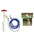 AL-FAHMI 30ft(9m) Heavy Duty Dog Tie Out Cable And Stake Out Dog Spiral In Ground Stake Puppy Pet Outdoor Tie Out Lead Leash (30FT Cable With Stake) - Buy Online on SooperMarket.com