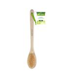 EcoTools Soft Bristle Bath Brush Long Handle Shower Brush Gentle Exfoliating for Back and Body - Buy Online on SooperMarket.com