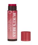 Burt's Bees Lip Balm Easter Basket Stuffers Tinted Moisturizing Lip Care for Women 100% Natural with Shea Butter Red Dahlia (2 Pack) Red Dhalia 2 Count - Buy Online on SooperMarket.com