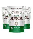 Organic Sprouted Pumpkin Seeds 14oz (Pack of 3) - Vegan, Non-GMO, Gluten-Free, Paleo & Keto Friendly - Buy Online on SooperMarket.com