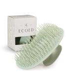 ecoed Scalp Massager Shampoo Brush - Dandruff Removal & Scalp Care - Wet/Dry Detangler for Men & Women - Short/Medium Hair - Green - Buy Online on SooperMarket.com