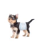 26pcs XS Disposable Dog Diapers for Male Dogs | Fits 15-33cm Waist | Puppy-White - International Shipping Available - Buy Online on SooperMarket.com