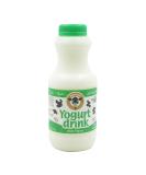 KAROUN Mint Yogurt Drink 16oz - Probiotic Beverage for Digestive Health - Buy Online on SooperMarket.com