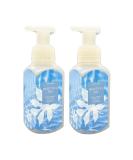 Bath and Body Works Gentle Foaming Hand Soap Black Cherry Merlot 8.75 Ounce (2-Pack) Aloe Vera 8.75 Fl Oz (Pack of 2) - Buy Online on SooperMarket.com