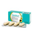 Boehringer Ingelheim Canikur 3 x 4 Kautabletten - Buy Online on SooperMarket.com