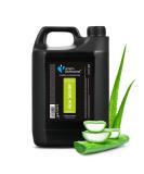 GROOM PROFESSIONAL Aloe Wonder Dog Shampoo - Dog Shampoo for Sensitive Skin - Dog Shampoo for Itchy Skin - Sensitive & Itchy Shampoo for Dogs - Soothing and Nourishing Formula 4 Litre 4 Litre Single - Buy Online on SooperMarket.com