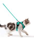 Breakproof Cat Leash Set & Adjustable Soft Kitten Vest with Reflective Stripes - Green Small Cat Dishes for Kittens - Buy Online on SooperMarket.com