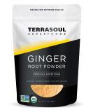 Terrasoul Superfoods Organic Ginger Powder 1 Lb - Lab-Tested  Raw  Potent Spicy Flavor - Buy Online on SooperMarket.com
