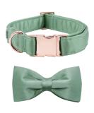 Shop Lionet Paw's Comfortable Silk Green Dog Collar with Removable Fly - XS for Puppies & Cats (20-30cm) - Ideal for International Shipping - Buy Online on SooperMarket.com