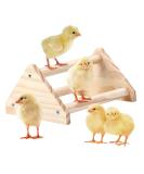 GINTUTO Pine Wooden Chick Jungle Gym Roosting Bar - Small Chicken Perch Toys for Coop and Brooder - Ideal for Large Bird Baby Chicks and Parrots - Buy Online on SooperMarket.com