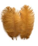 Shekyeo Gold 10-12inch Ostrich Feather Home Decoration DIY Craft Pack of 10 - 25-30cm - Buy Online on SooperMarket.com
