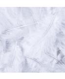 White Feathers for Crafts Dreamcatcher Fringe Trim Colored Feathers (100pcs White) - Buy Online on SooperMarket.com