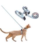 Pidan Cat Dishes & Leash | Adjustable Travel Cat Bowls for Large & Small Cats | Pet-Safe Lightweight Soft Design - Blue - Buy Online on SooperMarket.com
