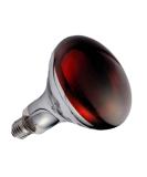 Orvarto Infrared Heat Lamp Bulb Ruby 250w. for Infra Red Heat Lamps for Poultry Chicks Dogs Puppies Cats Kittens Pigs Reptiles and Other Animals. - Buy Online on SooperMarket.com