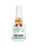 Buy Dip Powder Base Coat 15ml | Fast Dry Long-Lasting Nail Dipping Powder for DIY Salon & French Nail Art - No Lamp Needed - Buy Online on SooperMarket.com