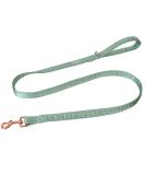 Shop Lionet Paws Silk Dog Leash - Perfect for Small & Medium Dogs - XS Size - Ideal for Boys & Girls - Buy Online on SooperMarket.com