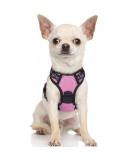Rabbitgoo No-Pull Dog Harness for Small Dogs - Adjustable & Breathable with Reflective Stripes - Safe Control Breast Harness for Large Dogs - Pink XS (1 Pack) - Buy Online on SooperMarket.com