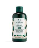 The Body Shop Shea Butter Richly Replenishing Conditioner 250 ml for dry damage-prone hair - Buy Online on SooperMarket.com