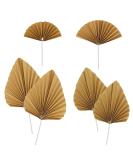 DBOO 6 Pcs Paper Palm Fan Cake Toppers Palm Leaf Fan Cake Topper Palm Spear Leaf Cupcake Toppers Cake Insert Decoration for Cake Decorating DIY Craft Project Home Wedding Party D cor Gold - Buy Online on SooperMarket.com