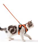 Breakproof Cat Leash Set & Adjustable Soft Kitten Vest - Reflective Stripes | Orange Small Dishes for Kittens - Buy Online on SooperMarket.com