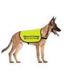 CENWA Rescue In Training Do Not Pet Dog Jacket Vest Nervous Anxious Training Dog Slogan Warning Vest (In Training Rescue M EU) - Buy Online on SooperMarket.com