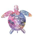 Dopetattoo Children's Sea Turtle Temporary Tattoo Set - 6 Colorful Designs for Neck, Arm, Chest - Kids and Adults - Buy Online on SooperMarket.com